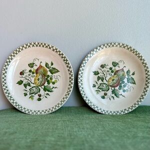 (2) JOHNSON BROTHERS- arbor           6 3/4” plates  staffordshire england